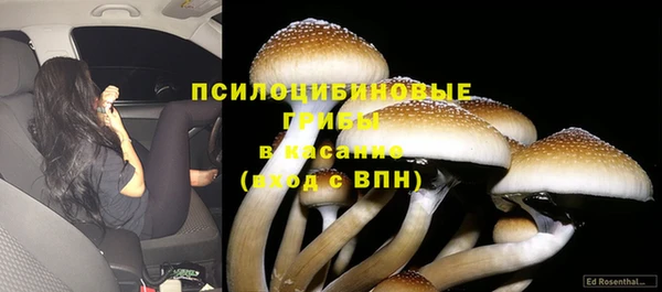 дурь Беломорск