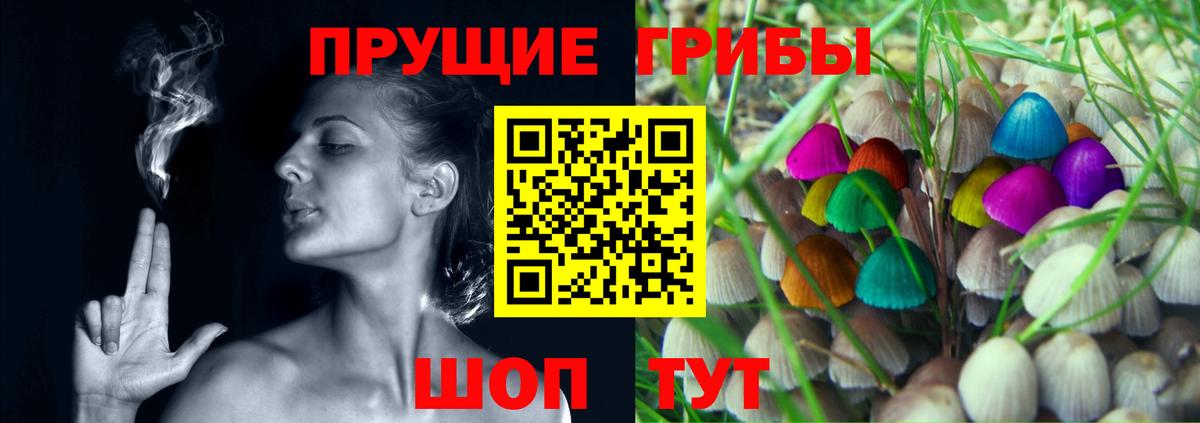 Горно-Алтайск  Галлюциногенные грибы GOLDEN TEACHER  Псилоцибиновые грибы мухоморы  купить закладку  Вход с VPN 